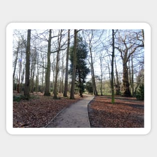 Lovely path and walk in the woods Sticker